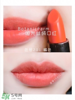 ֲ����԰�ں촽��ɫ�� ֲ����԰�ں촽����ɫ